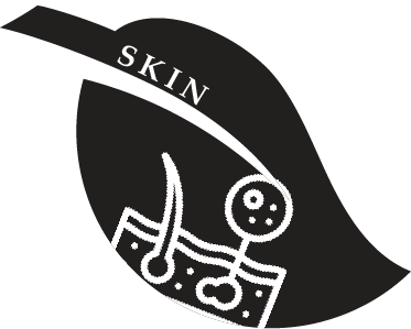 skin
