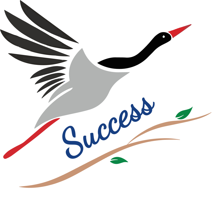 success-img